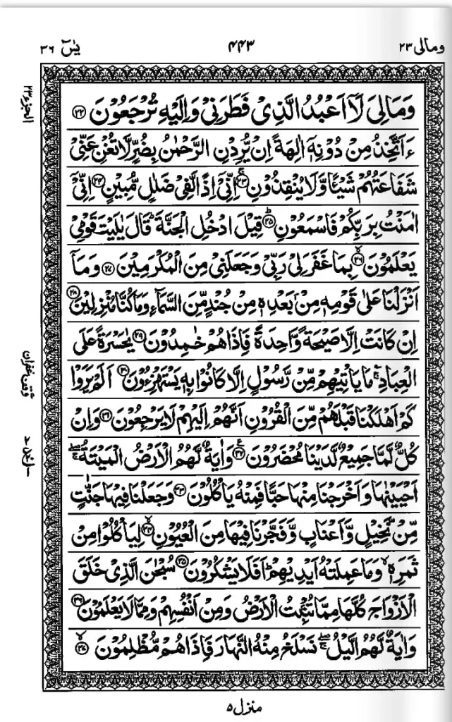yasin suresi safya 3