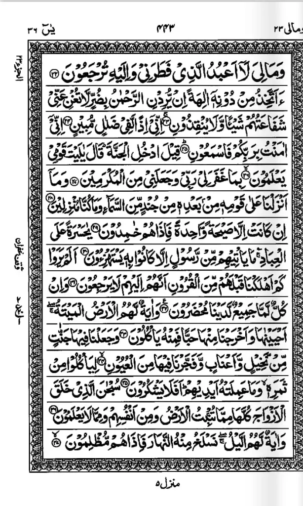 yasin suresi safya 4